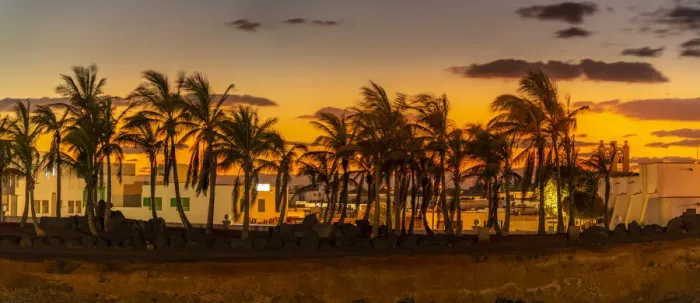 Framed Print : View of golden sunset through palm trees, Playa Blanca, Lanzarote, Canary Islands, Spain Framed Print : View of golden sunset through palm trees, Playa Blanca, Lanzarote, Canary Islands, Spain