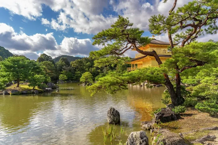 Framed Print : View of Golden Temple (Kinkaku-ji) (Temple of the Golden Pavilion), UNESCO, Kyoto, Honshu, Japan Framed Print : View of Golden Temple (Kinkaku-ji) (Temple of the Golden Pavilion), UNESCO, Kyoto, Honshu, Japan