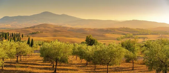 Framed Print : View of golden Tuscan landscape near Pienza, Pienza, Province of Siena, Tuscany, Italy, Europe Framed Print : View of golden Tuscan landscape near Pienza, Pienza, Province of Siena, Tuscany, Italy, Europe