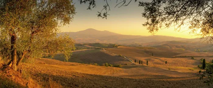 Framed Print : View of golden Tuscan landscape near Pienza, Pienza, Province of Siena, Tuscany, Italy, Europe Framed Print : View of golden Tuscan landscape near Pienza, Pienza, Province of Siena, Tuscany, Italy, Europe
