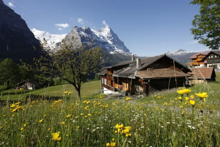 Framed Print : View from Grindelwald to Eiger, Bernese Oberland, Swiss Alps, Switzerland, Europe Framed Print : View from Grindelwald to Eiger, Bernese Oberland, Swiss Alps, Switzerland, Europe