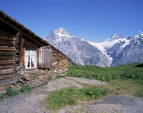 View from Grindelwald-First to Wetterhorn and Schreckhorn