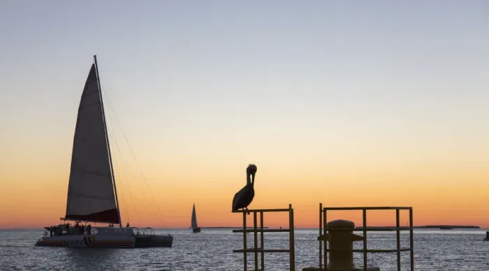Framed Print : View across the Gulf of Mexico, sunset, brown pelican prominent, Mallory Square, Old Town Framed Print : View across the Gulf of Mexico, sunset, brown pelican prominent, Mallory Square, Old Town