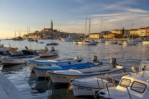 View of harbour and the old town with the Cathedral of St. Euphemia at sunset, Rovinj