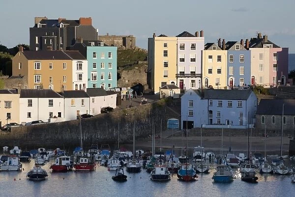 View over harbour, Tenby, Carmarthen Bay, Pembrokeshire, Wales, United Kingdom, Europe