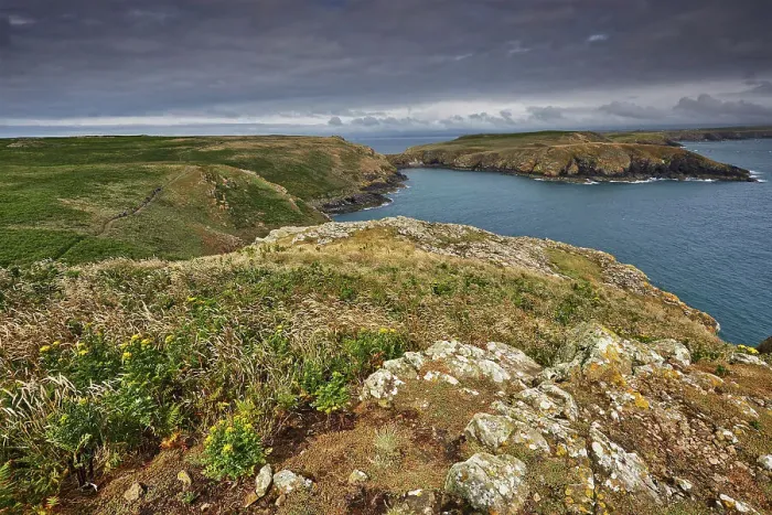 Framed Print : A view from High Cliff to the Neck, on the east coast of Skomer Island, a nature reserve off the coast of Pembrokeshire, Wales, United Kingdom, Europe Framed Print : A view from High Cliff to the Neck, on the east coast of Skomer Island, a nature reserve off the coast of Pembrokeshire, Wales, United Kingdom, Europe