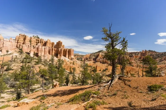 Framed Print : View of hoodoo formations from the Fairyland Trail in Bryce Canyon National Park Framed Print : View of hoodoo formations from the Fairyland Trail in Bryce Canyon National Park