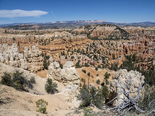 A view of the hoodoos from the Fairyland Trail in Bryce Canyon National Park, Utah