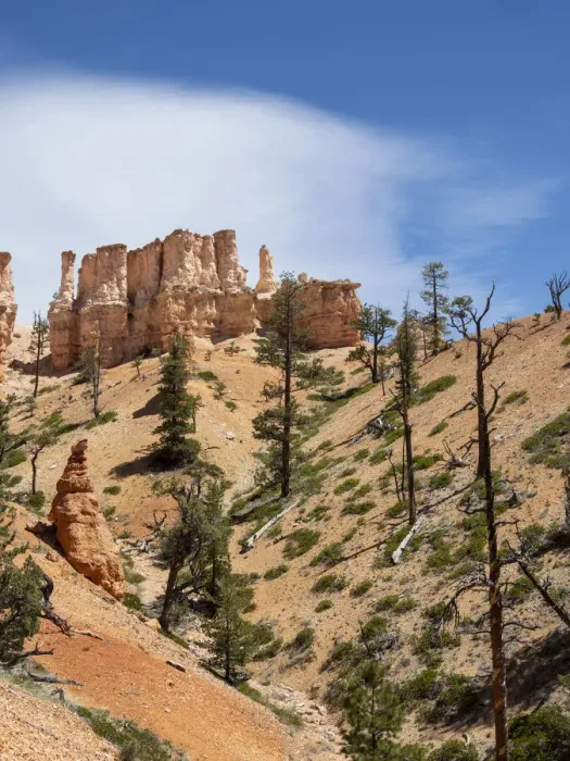 Framed Print : A view of the hoodoos from the Fairyland Trail in Bryce Canyon National Park, Utah Framed Print : A view of the hoodoos from the Fairyland Trail in Bryce Canyon National Park, Utah