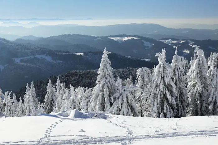 Framed Print : View from Hornisgrinde mountain in winter, Black Forest, Baden Wurttemberg, Germany Framed Print : View from Hornisgrinde mountain in winter, Black Forest, Baden Wurttemberg, Germany