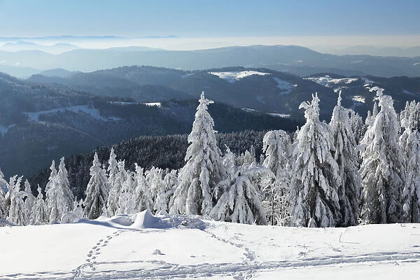 View from Hornisgrinde mountain in winter, Black Forest, Baden Wurttemberg, Germany