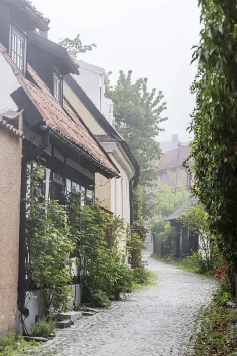 Framed Print : View of houses in the town of Visby, UNESCO World Heritage Site, Gotland Island, Sweden, Scandinavia, Europe Framed Print : View of houses in the town of Visby, UNESCO World Heritage Site, Gotland Island, Sweden, Scandinavia, Europe