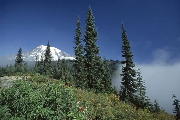 View of the icy peak of 4394m volcano Mount Rainier