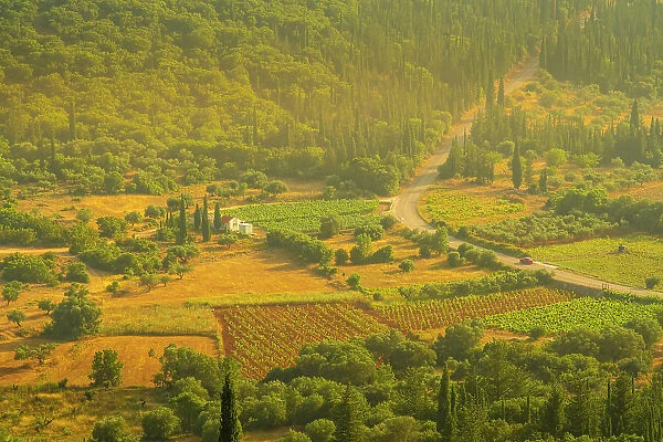 View of inland woodland and vineyards near Poulata, Kefalonia, Ionian Islands, Greek Islands, Greece, Europe