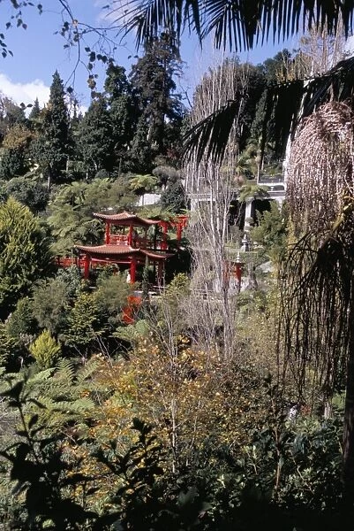 View to Japanese Garden