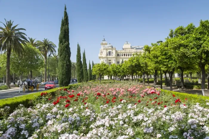 Framed Print : View of Jardines de Pedro Luis Alonso and Town Hall Palace (Ayuntamiento), Malaga Framed Print : View of Jardines de Pedro Luis Alonso and Town Hall Palace (Ayuntamiento), Malaga