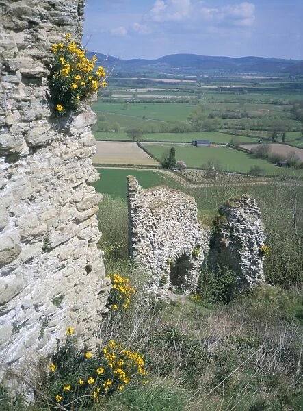 View from the keep, with wallflowers, Wigmore Castle, managed by English Heritage