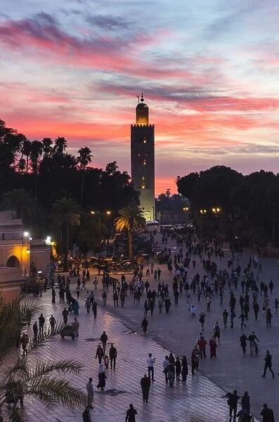 View towards Koutoubia Minaret at sunset from Djemaa el Fna, Marrakech, Morocco, North Africa