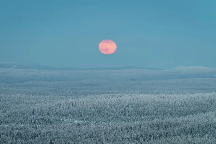Framed Print : View from Kuntivaara Fell of full moon rising over the Taiga forests of Russia, Finland, Europe