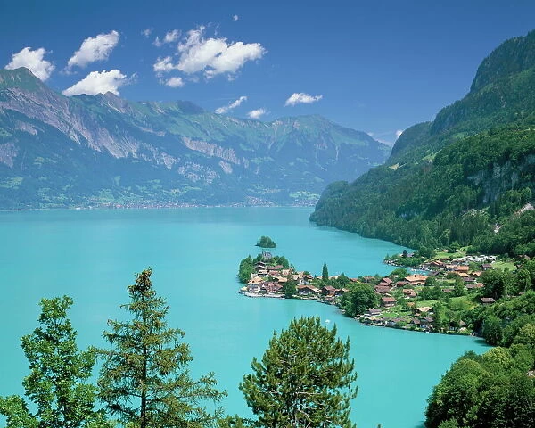 View over Lake Brienz to Iseltwald