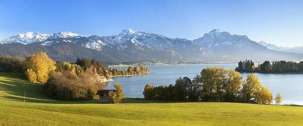 View over Lake Forggensee to the Alps, Allgau, Bavaria, Germay, Europe