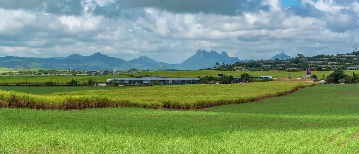 Framed Print : View of landscape and Long Mountain in the interior from near Petit Raffray, Mauritius, Indian Ocean, Africa Framed Print : View of landscape and Long Mountain in the interior from near Petit Raffray, Mauritius, Indian Ocean, Africa
