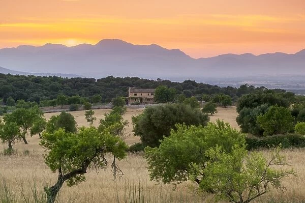 View of landscape with olive trees and mountains at dusk with farmhouse in landscape