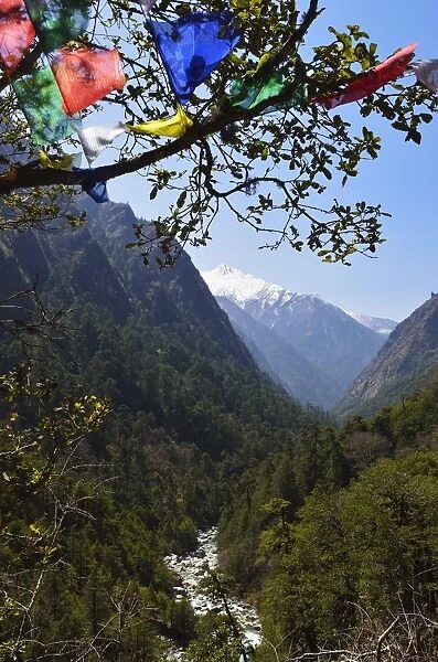 View of Langtang Valley, Langtang National Park, Bagmati, Central Region (Madhyamanchal), Nepal, Himalayas, Asia