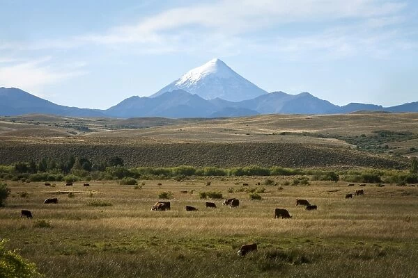 View over Lanin volcano, Lanin National Park, Patagonia, Argentina, South America