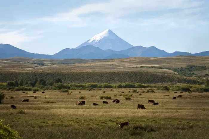 Framed Print : View over Lanin volcano, Lanin National Park, Patagonia, Argentina, South America Framed Print : View over Lanin volcano, Lanin National Park, Patagonia, Argentina, South America