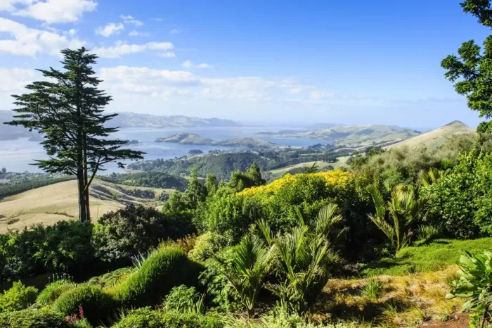 Framed Print : View from Larnach Castle over the Otago Peninsula, South Island, New Zealand, Pacific Framed Print : View from Larnach Castle over the Otago Peninsula, South Island, New Zealand, Pacific