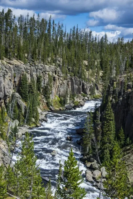 Framed Print : View over the Lewis River, Yellowstone National Park, UNESCO World Heritage Site, Wyoming, United States of America, North America Framed Print : View over the Lewis River, Yellowstone National Park, UNESCO World Heritage Site, Wyoming, United States of America, North America