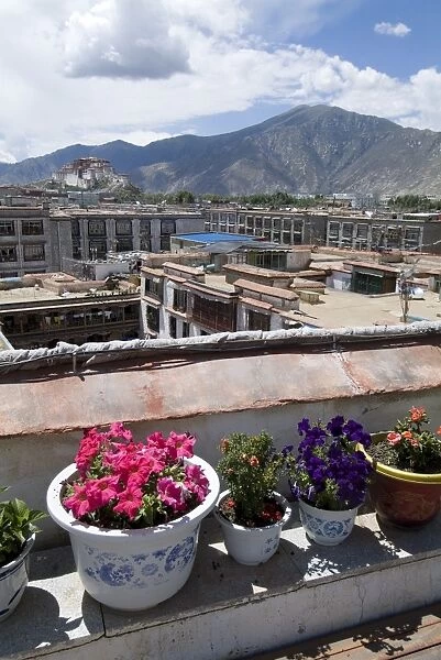 View over Lhasa looking towards Potala Palace, Lhasa, Tibet, China, Asia