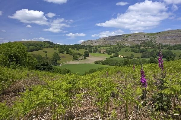 View towards limestone escarpment of Creigiau Eglwyseg, from Castell Dinas Bran