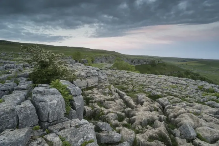 Framed Print : View of limestone pavement, Malham Cove, Malham, Yorkshire Dales National Park, North Yorkshire Framed Print : View of limestone pavement, Malham Cove, Malham, Yorkshire Dales National Park, North Yorkshire