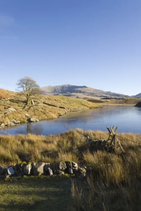 Framed Print : View across Llyn y Dywarchen to Mount Snowdon in Snowdonia National Park Framed Print : View across Llyn y Dywarchen to Mount Snowdon in Snowdonia National Park