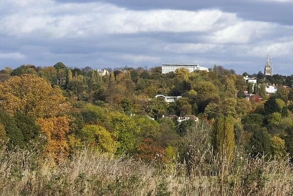 View looking northeast towards Highgate from Hampstead Heath, London, England