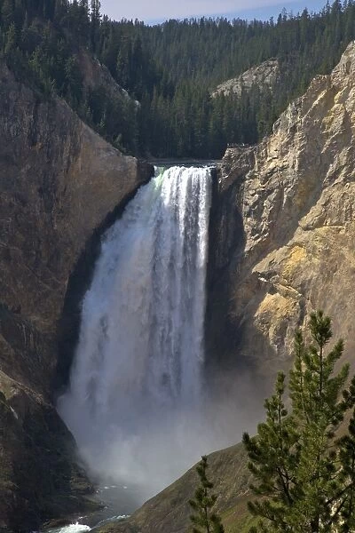 View of Lower Falls from Red Rock Point, Grand Canyon of the Yellowstone River, Yellowstone National Park, UNESCO World Heritage Site, Wyoming, United States of America, North America