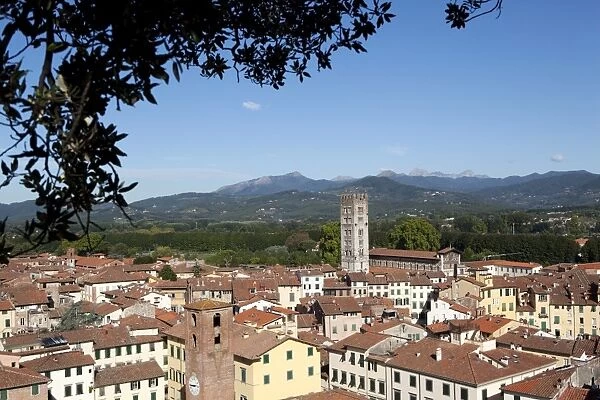 View of Lucca from the Giunigi Tower, Lucca, Tuscany, Italy, Europe