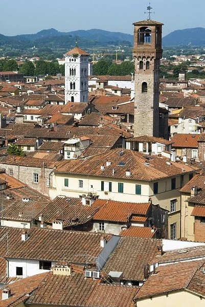 View of Lucca from Torre Guinigi, Lucca, Tuscany, Italy, Europe