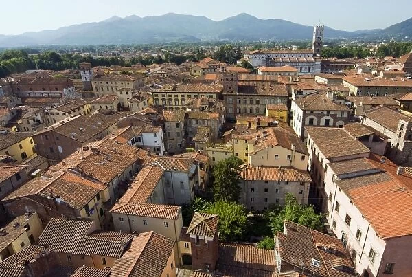 View of Lucca from Torre Guinigi, Lucca, Tuscany, Italy, Europe