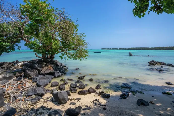 Framed Print : View of man fishing from Mont Choisy Beach and turquoise Indian Ocean on sunny day, Mauritius, Indian Ocean, Africa Framed Print : View of man fishing from Mont Choisy Beach and turquoise Indian Ocean on sunny day, Mauritius, Indian Ocean, Africa