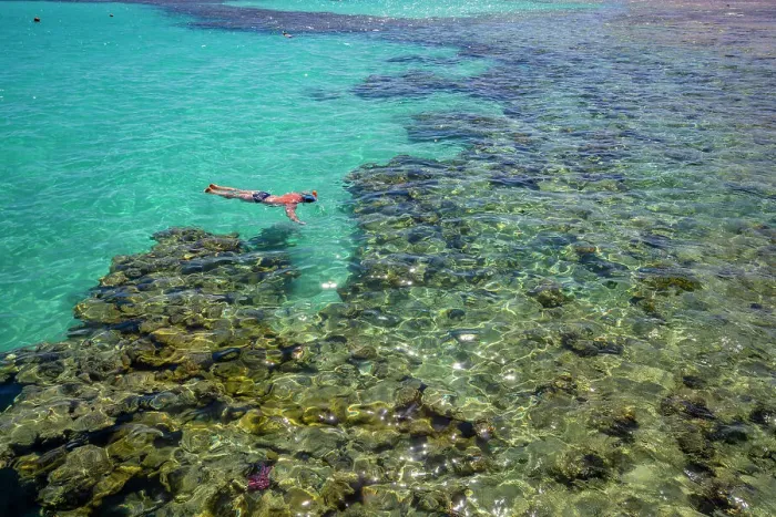 Framed Print : View of man snorkeling in the Red Sea near Sahl Hasheesh, Sahl Hasheesh, Hurghada, Red Sea Governorate, Egypt, North Africa, Africa