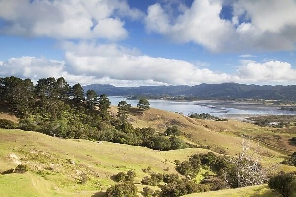 View of Manaia Harbour and farmland, Coromandel Peninsula, Waikato, North Island, New Zealand, Pacific