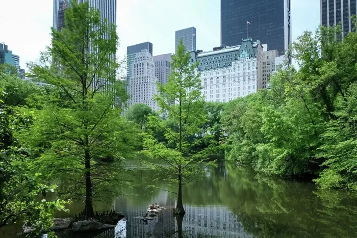 Framed Print : View of Manhattan cityscape as seen from The Pond, one of seven bodies of water in Central Park located near Grand Army Plaza, across Central Park South from the Plaza Hotel, New York City, United States of America, North America