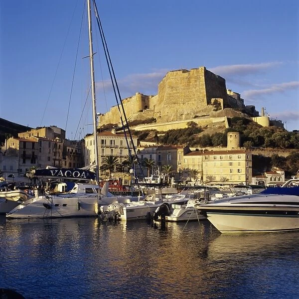 View over the Marina to Citadel and Haute Ville, Bonifacio, south coast, Corsica, France, Mediterranean, Europe