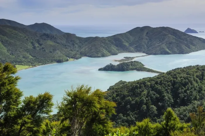 Framed Print : View over the Marlborough Sounds, South Island, New Zealand, Pacific Framed Print : View over the Marlborough Sounds, South Island, New Zealand, Pacific