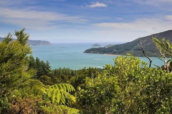 View over the Marlborough Sounds, South Island, New Zealand, Pacific