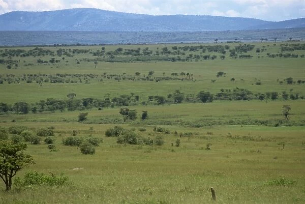 View across Masai Mara landscape
