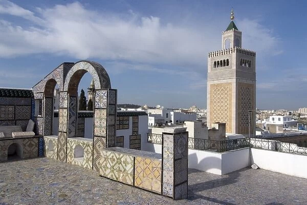 View over the Medina of Tunis towards the main mosque, Tunisia, North Africa, Africa